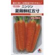 画像1: 送料無料　[人参]　夏蒔鮮紅五寸　8ml　タキイ種苗　RF (1)