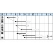 画像2: 送料無料　[大根]　緑輝　16ml　タキイ種苗(株)　DF (2)