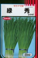 画像: 送料無料　[ねぎ]　緑秀　(小ねぎ)　20ml　（株）サカタのタネ