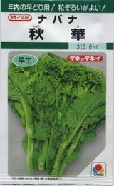 画像: 送料無料　[葉物]　秋華　2dl　タキイ種苗(株)