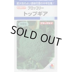 画像: 送料無料　[ブロッコリー]　トップギア　1.1ml　貴種(コートしてません)　タキイ種苗(株)　DF