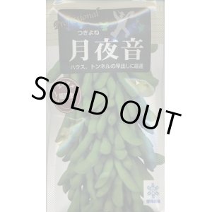 画像: 送料無料　[枝豆]　月夜音　70ml(およそ160粒)　雪印種苗(株)