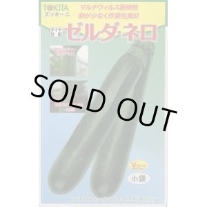 画像: 送料無料　[ズッキーニ]　ゼルダ・ネロ　10粒　トキタ種苗(株)