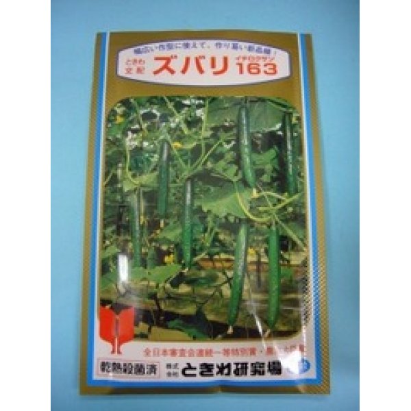 画像1: 送料無料　[キュウリ]　ズバリ163　350粒　(株)(株)ときわ研究場 (1)