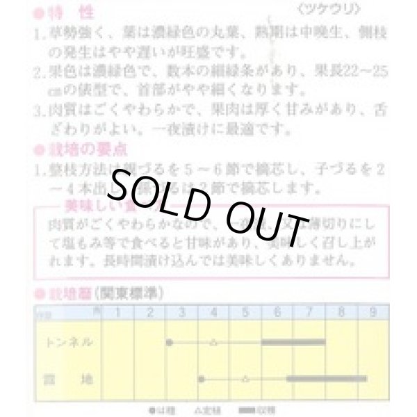 画像2: 送料無料　[瓜類]　青はぐら　3ml(およそ100粒)　トキタ種苗(株) (2)