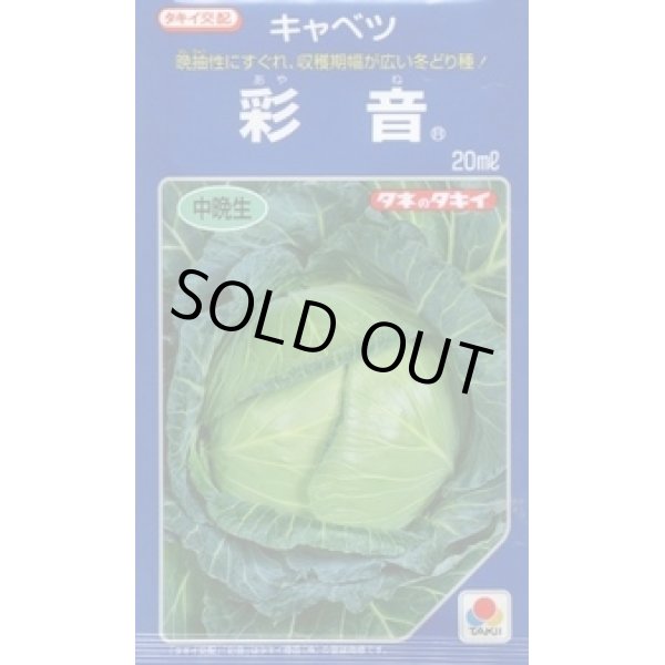 画像1: 送料無料　[キャベツ]　彩音　2000粒　タキイ種苗(株) (1)