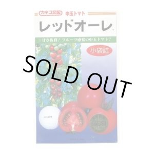 画像: 送料無料　[トマト/中玉トマト]　レッドオーレ　13粒　カネコ交配