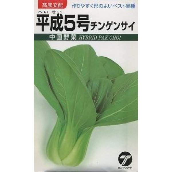 画像1: 送料無料　[中国野菜]　チンゲンサイ　平成5号　10ml　(株)タカヤマシード (1)