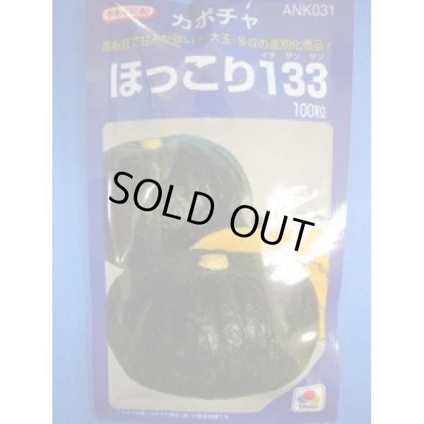 画像1: 送料無料　[かぼちゃ]　ほっこり133　100粒　タキイ種苗(株) (1)
