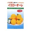 画像1: 送料無料　[トマト/中玉トマト]　イエローオーレ　14粒　カネコ交配 (1)