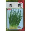 画像1: 送料無料　[ねぎ]　剣舞　20ml　（株）サカタのタネ (1)