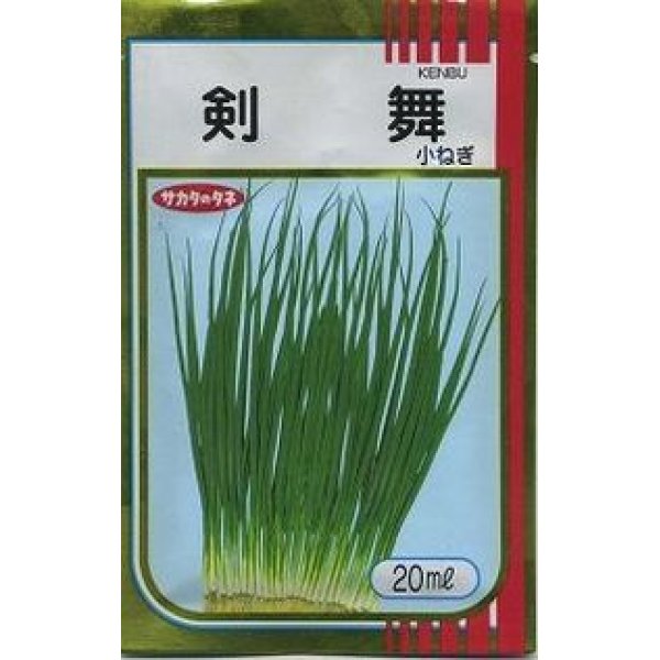 画像1: 送料無料　[ねぎ]　剣舞　20ml　（株）サカタのタネ (1)