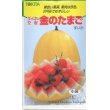 画像1: 送料無料　[スイカ]　小玉スイカ　金のたまご　100粒　トキタ種苗(株) (1)