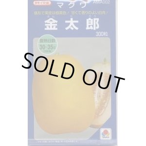 画像: 送料無料　[瓜類]　マクワ　金太郎　300粒　タキイ種苗(株)