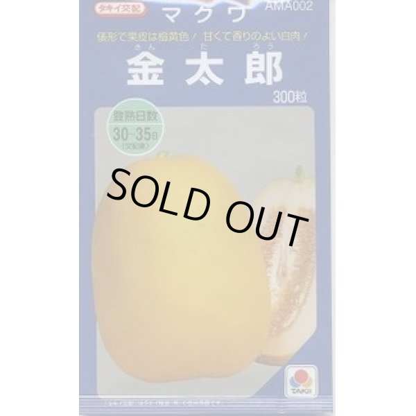 画像1: 送料無料　[瓜類]　マクワ　金太郎　300粒　タキイ種苗(株) (1)