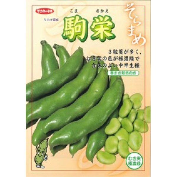 そら豆] 駒栄 1L（およそ260粒） サカタのタネ（株）(野菜種/そら豆