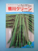 画像: 送料無料　[いんげん]　鴨川グリーン　30ml　ヴィルモランみかど