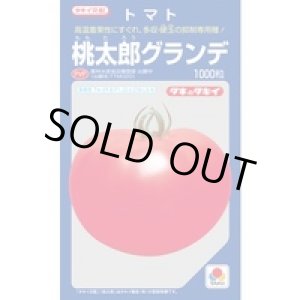 画像: 送料無料　[トマト/桃太郎系]　桃太郎グランデ　1000粒　タキイ種苗(株)