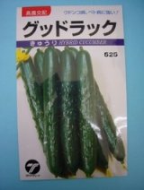 画像: 送料無料　[キュウリ]　グッドラック　0.9ml　(株)タカヤマシード