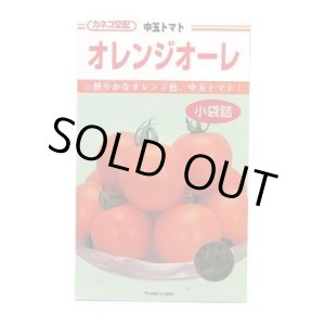 画像: 送料無料　[トマト/中玉トマト]　オレンジオーレ　14粒　カネコ交配