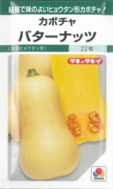 画像: 送料無料　[かぼちゃ]　バターナッツ　16粒　タキイ種苗(株)　GF