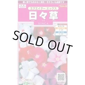 画像: 送料無料　花の種　日々草　エクエイターミックス　約58粒　(株)サカタのタネ　実咲350（026124）