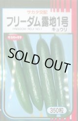 画像: 送料無料　[キュウリ]　フリーダム露地1号　350粒　(株)サカタのタネ