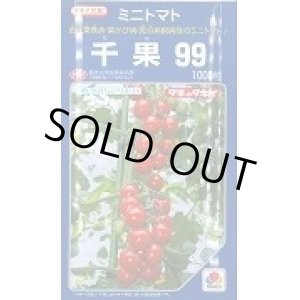 画像: 送料無料　[トマト/ミニトマト]　千果99　1000粒　タキイ種苗(株)