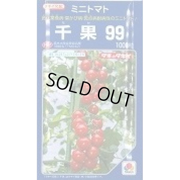 画像1: 送料無料　[トマト/ミニトマト]　千果99　1000粒　タキイ種苗(株) (1)