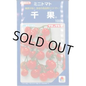 画像: 送料無料　[トマト/ミニトマト]　千果　1000粒　タキイ種苗(株)