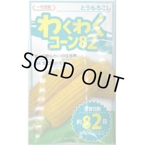 画像: 送料無料　[とうもろこし]　わくわくコーン82　100粒　カネコ交配