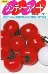 画像: 送料無料　[トマト/中玉トマト]　シンディースイート　100粒　(株)サカタのタネ