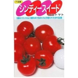 画像: 送料無料　[トマト/中玉トマト]　シンディースイート　100粒　(株)サカタのタネ