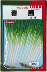 画像: 送料無料　[ねぎ]　春扇　20ml(裸種子)　(株)サカタのタネ