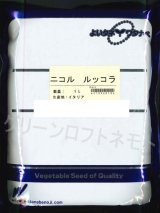 画像: 送料無料　[葉物]　二コル　ルッコラ　1L　渡辺農事