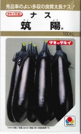 画像: 送料無料　[なす]　筑陽　100粒　タキイ種苗(株)