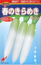 画像: 送料無料　[大根]　春のきらめき　150粒　渡辺交配