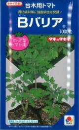 画像: 送料無料　[台木/トマト用]　Bバリア　1000粒　(トマト用)　タキイ種苗(株)