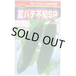 画像: 送料無料　[ゴーヤ]　夏バテ不知SP　10粒　渡辺農事