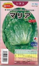 画像: 送料無料　[レタス]　マリア　ペレット種子100粒　タキイ種苗(株)