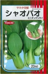 画像: 送料無料　[中国野菜]　シャオパオ(ミニチンゲンサイ)　20ml　（およそ4800粒）（株）サカタのタネ