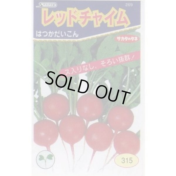 画像2: [シーダー種子]　はつかだいこん　レッドチャイム　1粒×3cm間隔100ｍ (2)