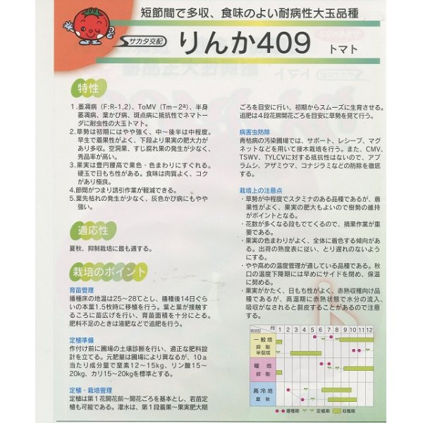 画像3: 送料無料　[トマト/大玉トマト]　りんか409　100粒　(株)サカタのタネ (3)