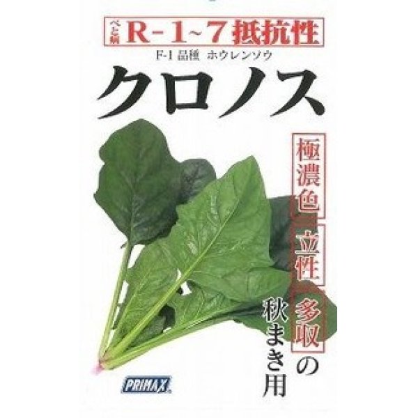 画像2: 送料無料　[ほうれんそう]　クロノス　約900粒　(株)サカタのタネ　実咲350（003012） (2)