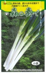 画像: 送料無料　[ねぎ]　森の奏で　5ml　トキタ種苗(株)