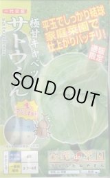 画像: 送料無料　[キャベツ]　極甘サトウくん　40粒　ナント種苗（株）