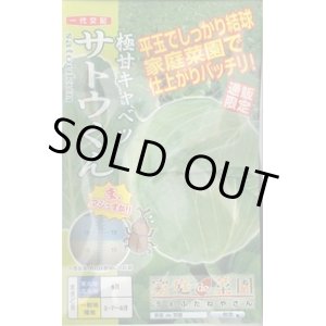 画像: 送料無料　[キャベツ]　極甘サトウくん　40粒　ナント種苗（株）