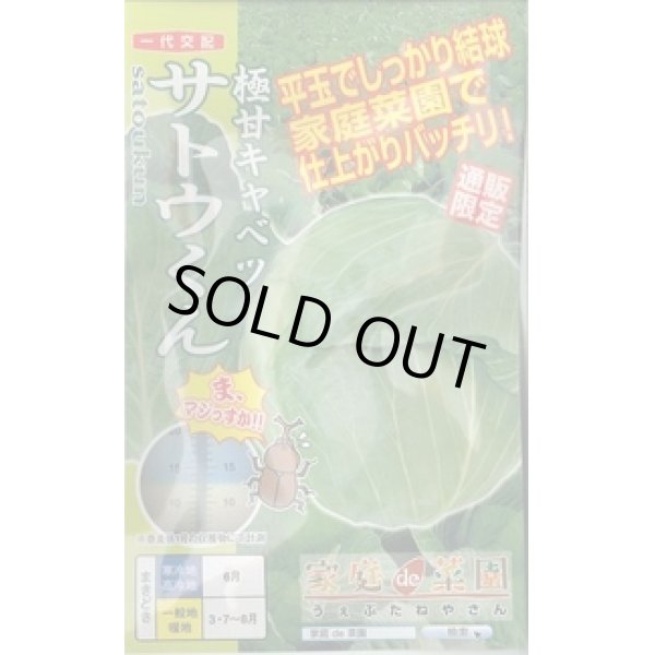 画像1: 送料無料　[キャベツ]　極甘サトウくん　40粒　ナント種苗（株） (1)