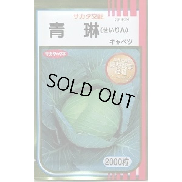 画像1: 送料無料　[キャベツ]　青琳　2000粒　（株）サカタのタネ (1)