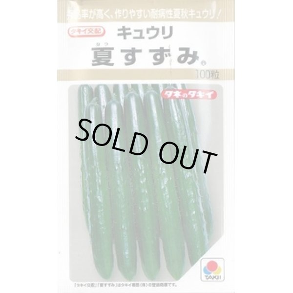 画像1: 送料無料　[キュウリ]　夏すずみ　100粒　タキイ種苗(株) (1)